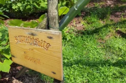 Kulinarische Reise nach Ilberstedt