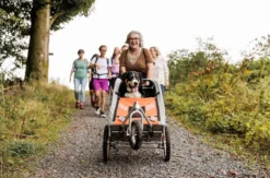 Kulinarische Städtewanderung Michelstadt