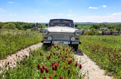 Kurzurlaub Bad Köstritz mit Trabi-Fahrt für 2 (2 Nächte)