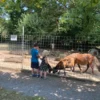 Kurzurlaub Bad Schönborn für 2 (2 Nächte) inkl. Körperwelten Heidelberg