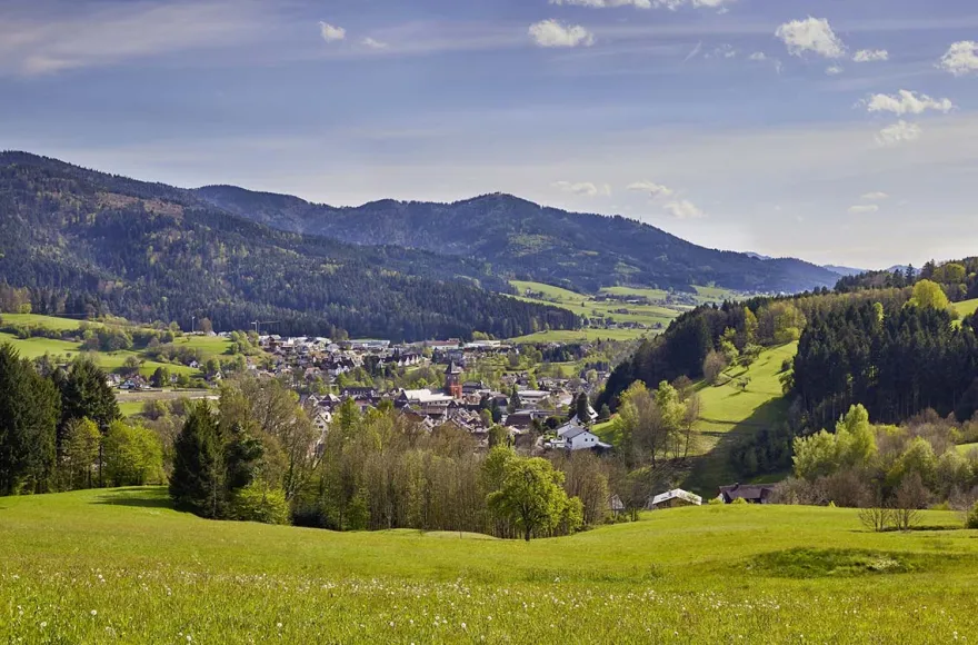 Kurzurlaub Elzach für 2 (2 Nächte)