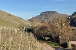 Kurzurlaub im Weingut an der Mosel für 2 (2 Nächte)