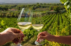 Kurzurlaub im Weingut an der Mosel für 2 (2 Nächte)