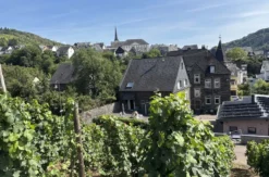 Kurzurlaub im Weingut an der Mosel für 2 (2 Nächte)