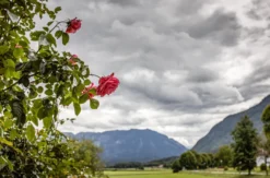 Kurzurlaub in Oberbayern für 2 (1 Nacht)