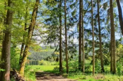 Kurzurlaub Niederbayern für 2 (1 Nacht)