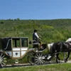 Kutschfahrt Krems an der Donau