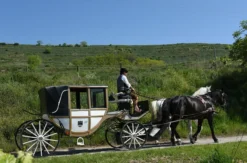 Kutschfahrt Krems an der Donau