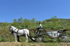 Kutschfahrt Krems an der Donau