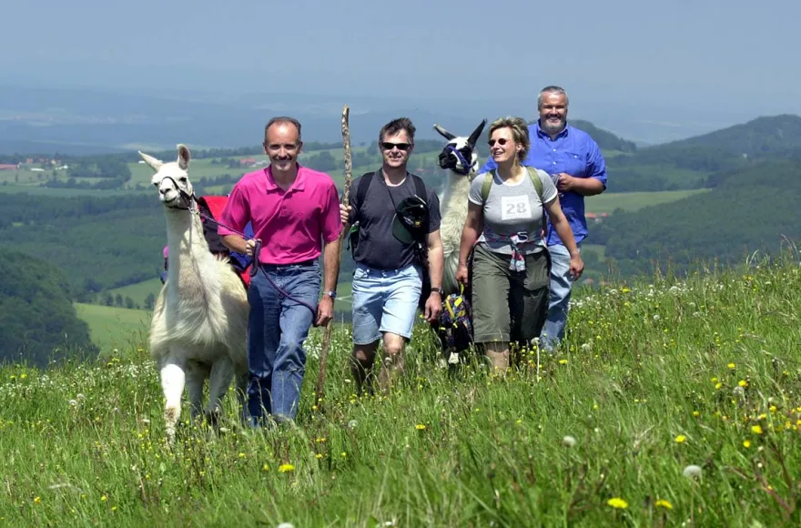 Lama Trekking Poppenhausen für 2