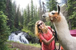 Lama-Trekkingtour