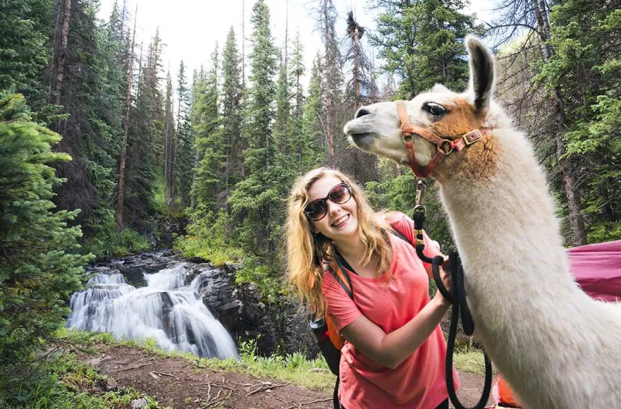 Lama-Trekkingtour