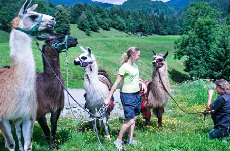Lama-Trekkingtour