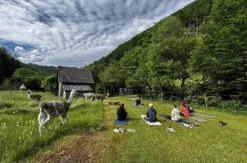 Lama Wanderung mit Yoga & Brunch