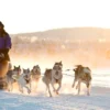 Lappland mit Schlittenfahrt für 2