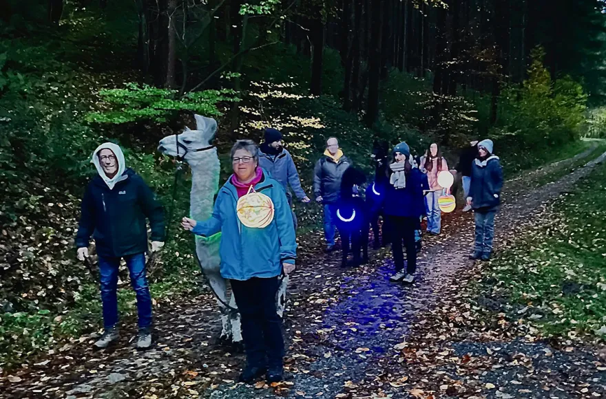 Laternenwanderung mit Alpakas für 2 Neckargerach
