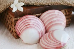 Lava Shell Massage Weinheim