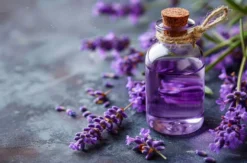 Lavendel Massage Bad Soden am Taunus