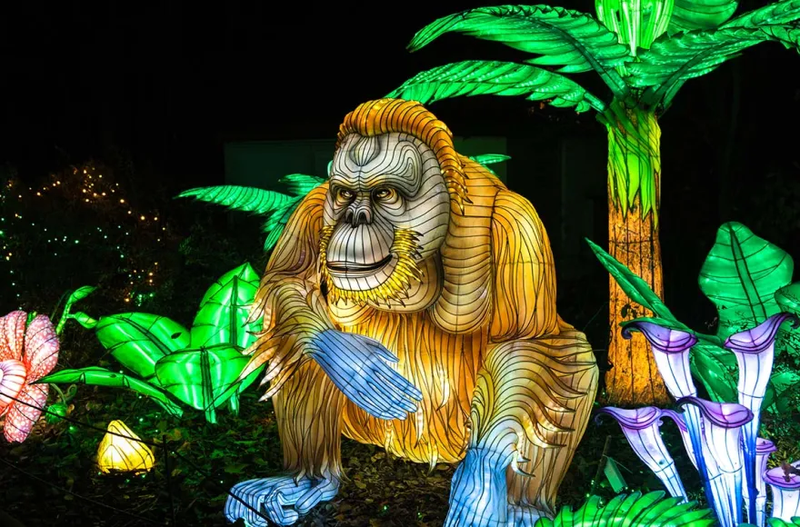 Lichterfestival mit Übernachten im Serengeti-Park für 2 (1 Nacht)