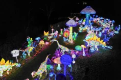 Lichterfestival mit Übernachten im Serengeti-Park für 2 (1 Nacht)