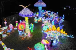 Lichterfestival mit Übernachten im Serengeti-Park für 2 (1 Nacht)