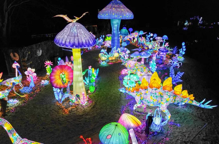 Lichterfestival mit Übernachten im Serengeti-Park für 2 (1 Nacht)