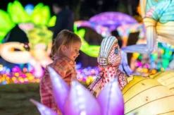 Lichterfestival mit Übernachten im Serengeti-Park für 2 (1 Nacht)