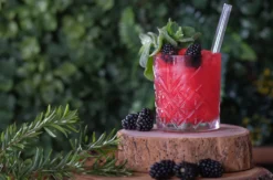 Likör & Cocktail Tasting Karlsruhe