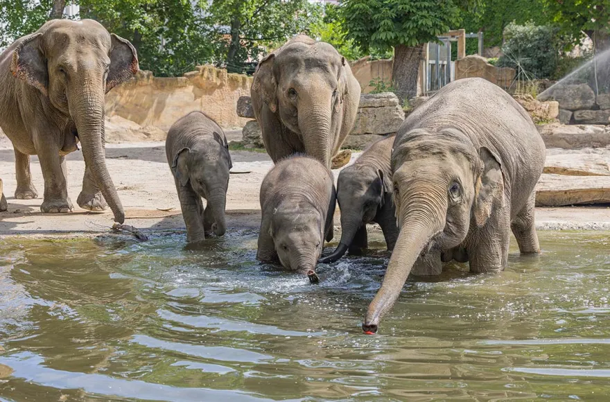 Lunch & Zoo Leipzig für 2