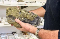Mineralogie für Einsteiger Göttingen
