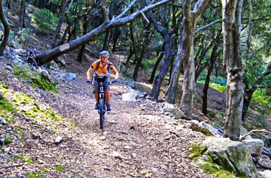 Mountainbike-Tour