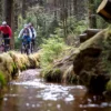 Mountainbike Tour Clausthal-Zellerfeld (4 Std.)
