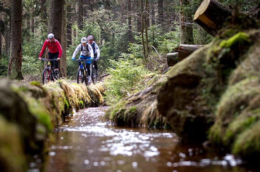 Mountainbike Tour Clausthal-Zellerfeld (4 Std.)