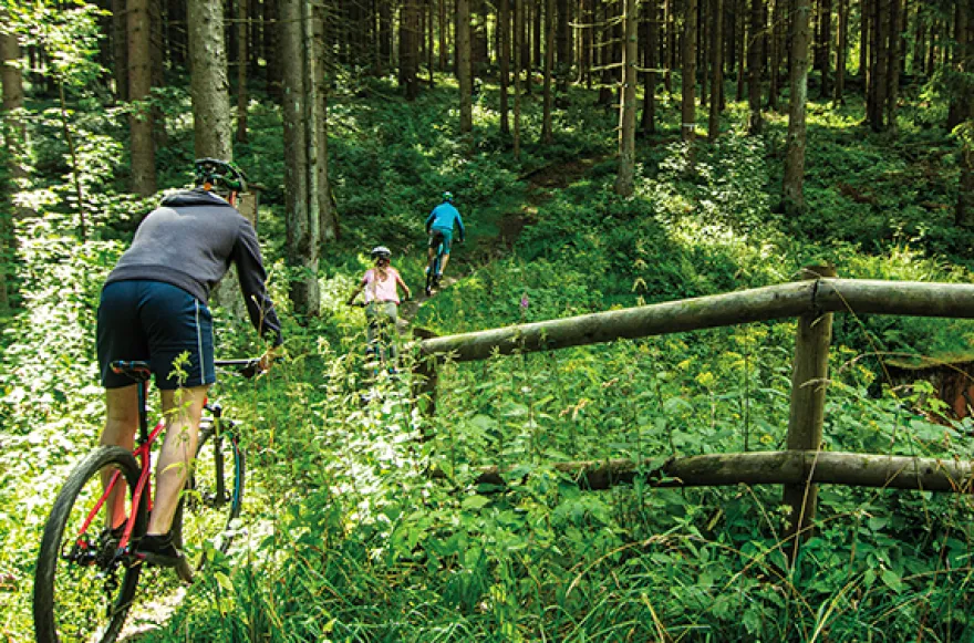 Mountainbike Tour Clausthal-Zellerfeld (4 Std.)