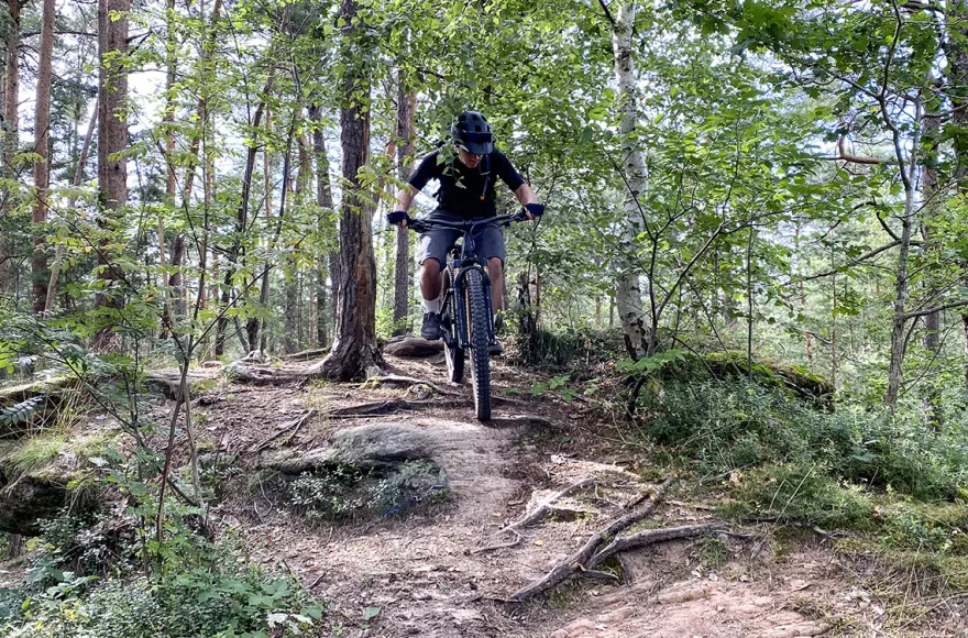 MTB Personal Training Erlangen