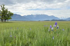 Murnauer Moos Rundweg - Führung für 2