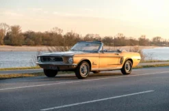 Mustang Oldtimer fahren Hamburg (8 Std.)