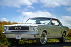Mustang Oldtimer fahren in der Oberpfalz für 2 (1 Nacht)