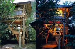 Nacht im Baumbett bei Schweinfurt für 2