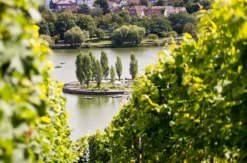Naturerlebnistag Stuttgart für 2 (4 Std.)