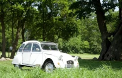Oldtimer Selber Fahren für 2 Ootmarsum