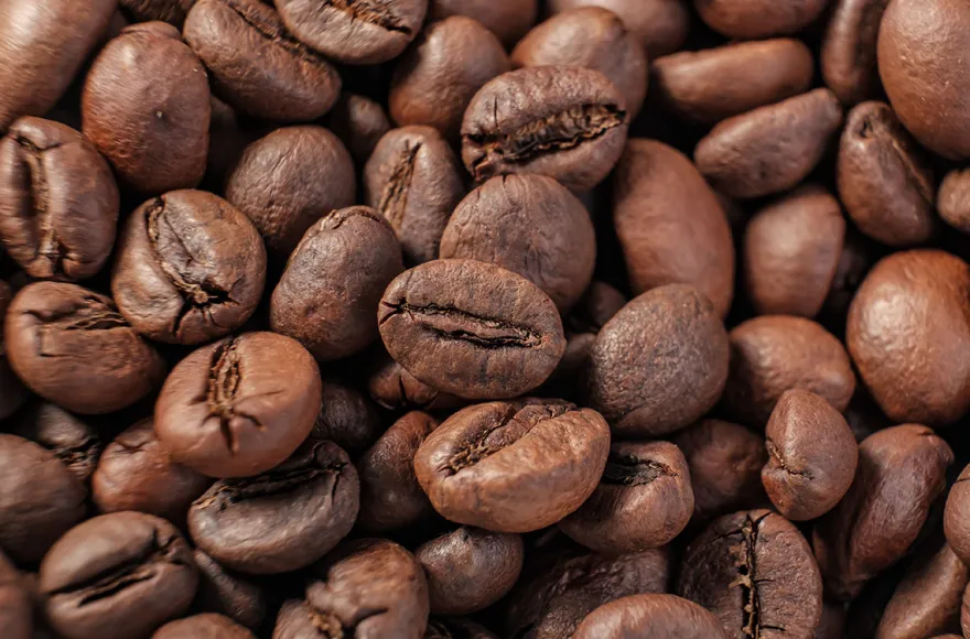 Online Baristakurs mit Nicole Battefeld