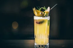Online Cocktailkurs mit Mario Hofferer (ca. 2,5 Std.)