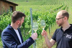 Online Weinprobe (2 Std.)
