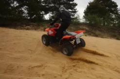 On- & Offroad- Kleine Abenteuer Quadtour Weißwasser