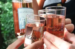 Outdoor Escape Gruppe - Anfänger "In Vino Veritas" Traben-Trarbach