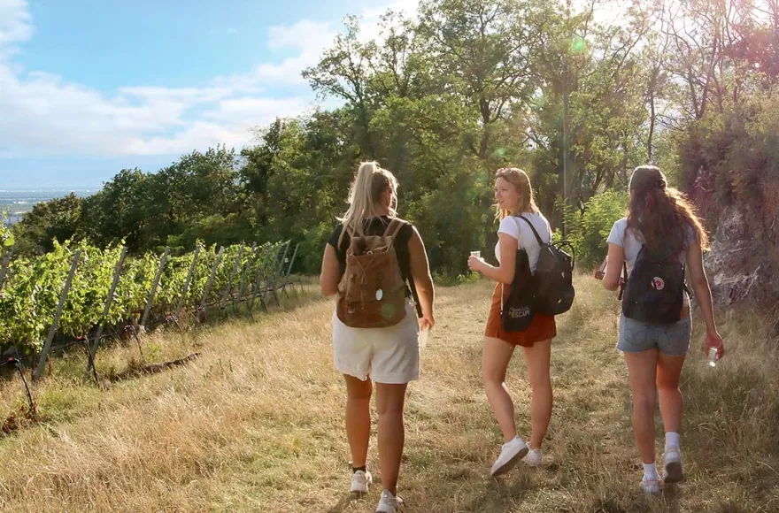 Outdoor Escape Gruppe - Anfänger "In Vino Veritas" Traben-Trarbach