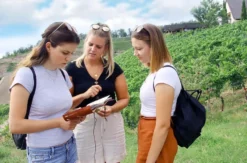 Outdoor Escape Gruppe - Anfänger "In Vino Veritas" Konz