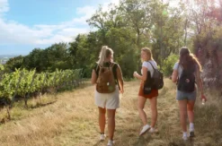 Outdoor Escape Gruppe - Anfänger "In Vino Veritas" Meersburg