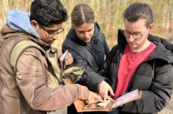 Outdoor Escape Gruppe - Fortgeschritten "Fluch der 9 Linden" Ihringen